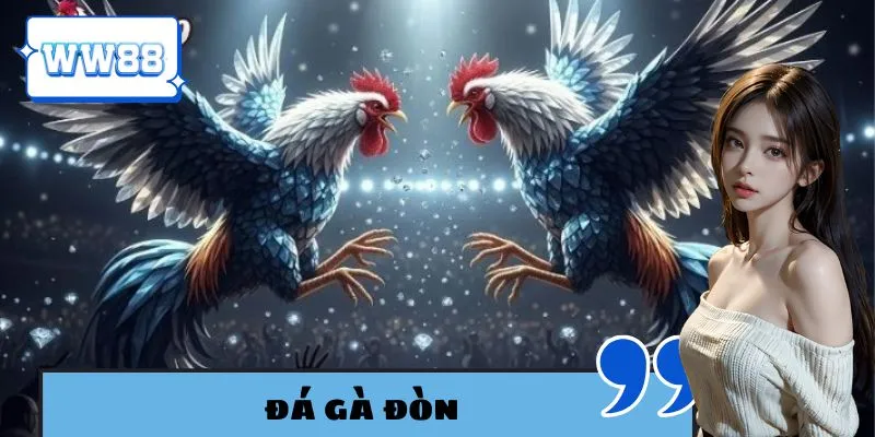 Đá gà đòn